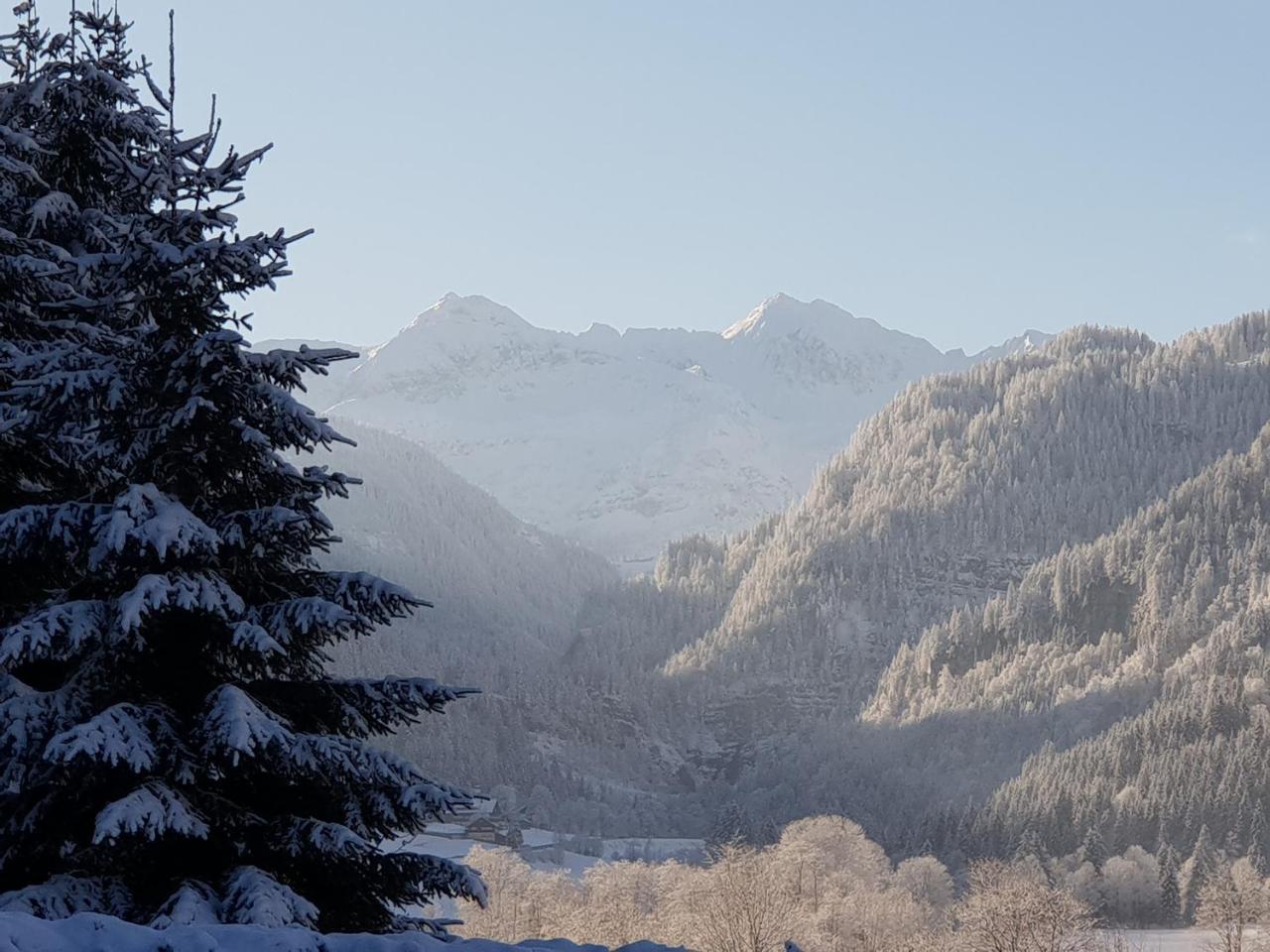 Ferienhaus Poettler Untertauern Zewnętrze zdjęcie