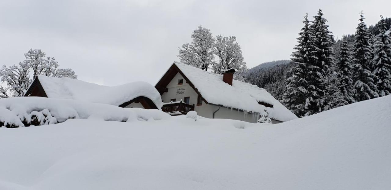 Ferienhaus Poettler Untertauern Zewnętrze zdjęcie